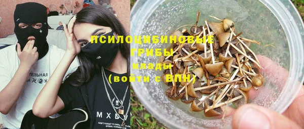 стафф Баксан