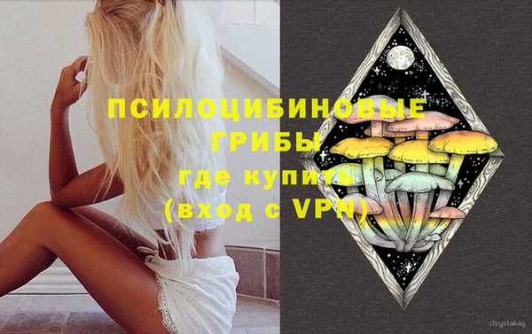 стафф Баксан