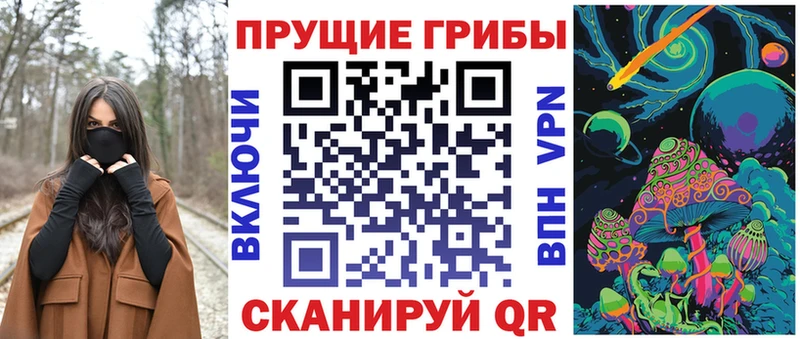Галлюциногенные грибы прущие грибы  Сегежа 